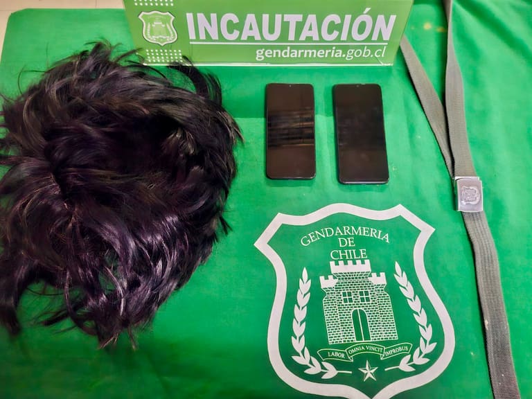 Insólito problema para Gendarmería en Lautaro: visitante intenta ingresar celulares ocultos bajo un peluquín a la cárcel
