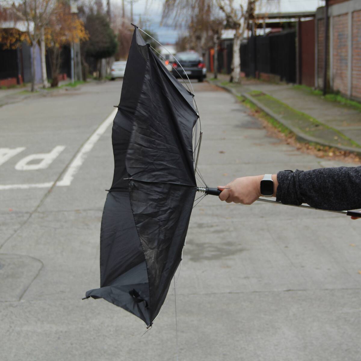 Vientos de hasta 80 km/h en Chile: Meteorología emite aviso para estas dos regiones del país