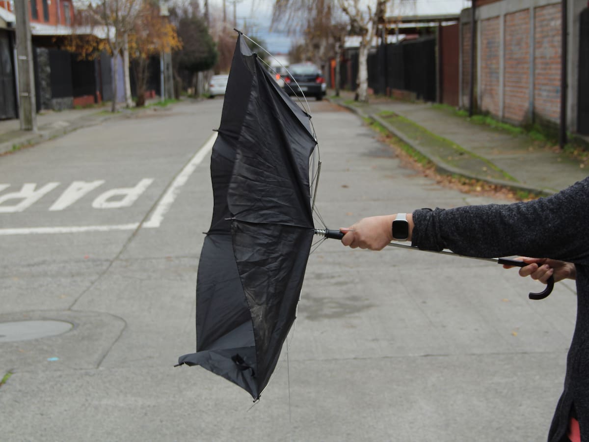 Vientos de hasta 80 km/h en Chile: Meteorología emite aviso para estas dos regiones del país
