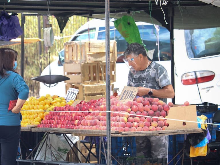 19 de Diciembre de 2020 / CHIGUAYANTE
Cientos de personas realizan las compras en la feria libre de Chiguayante en el fin de semana previo a navidad, durante el estado de catastrofe de la pandemia covid-19 

FOTO: CAMILO CASTRO / AGENCIAUNO