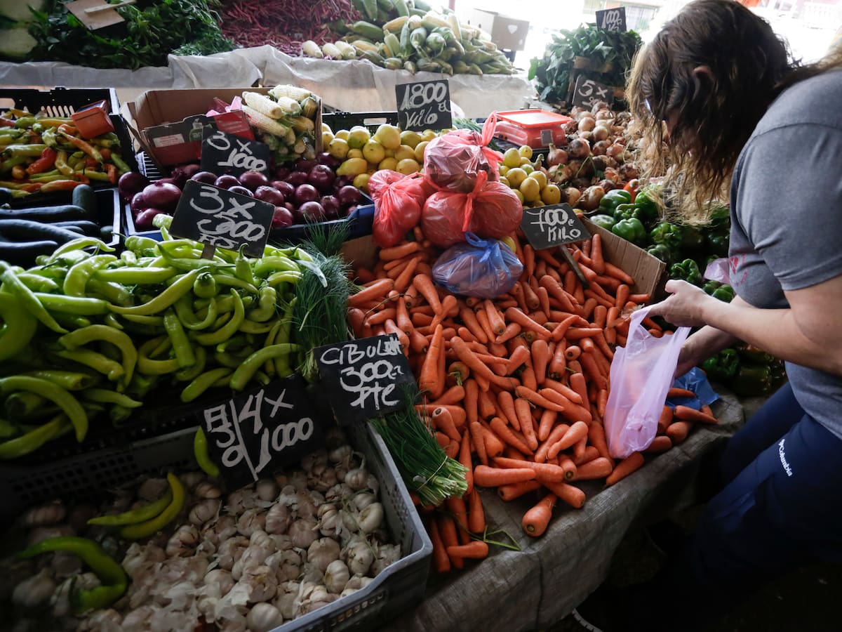 Golpe al bolsillo tras las lluvias: ministro de Agricultura anticipa alzas temporales en frutas y verduras