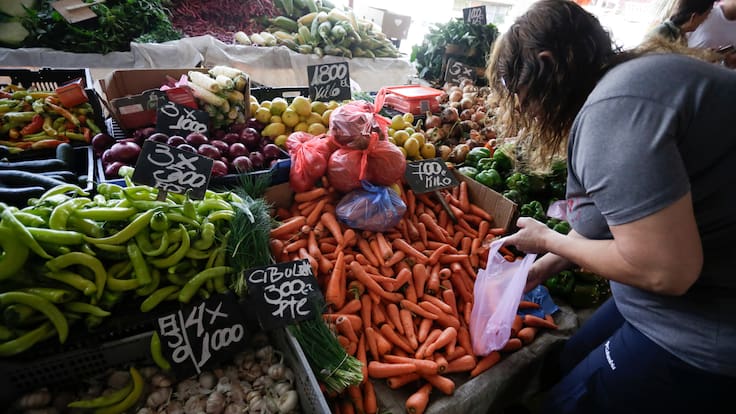 Ferias libres alertan impacto de combustibles en precios de alimentos: ¿cuándo podría reflejarse en el bolsillo de los chilenos?