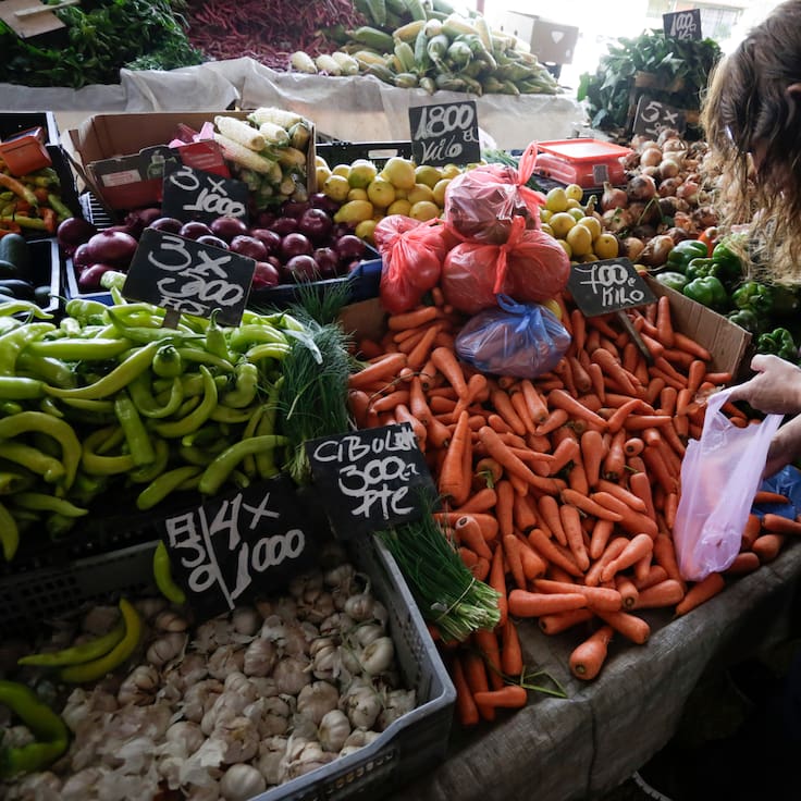 Ferias libres alertan impacto de combustibles en precios de alimentos: ¿cuándo podría reflejarse en el bolsillo de los chilenos?