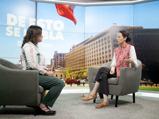 Rocío Montes (El País), Josefina Araos, (Licenciada y Magíster en Historia, investigadora IES)