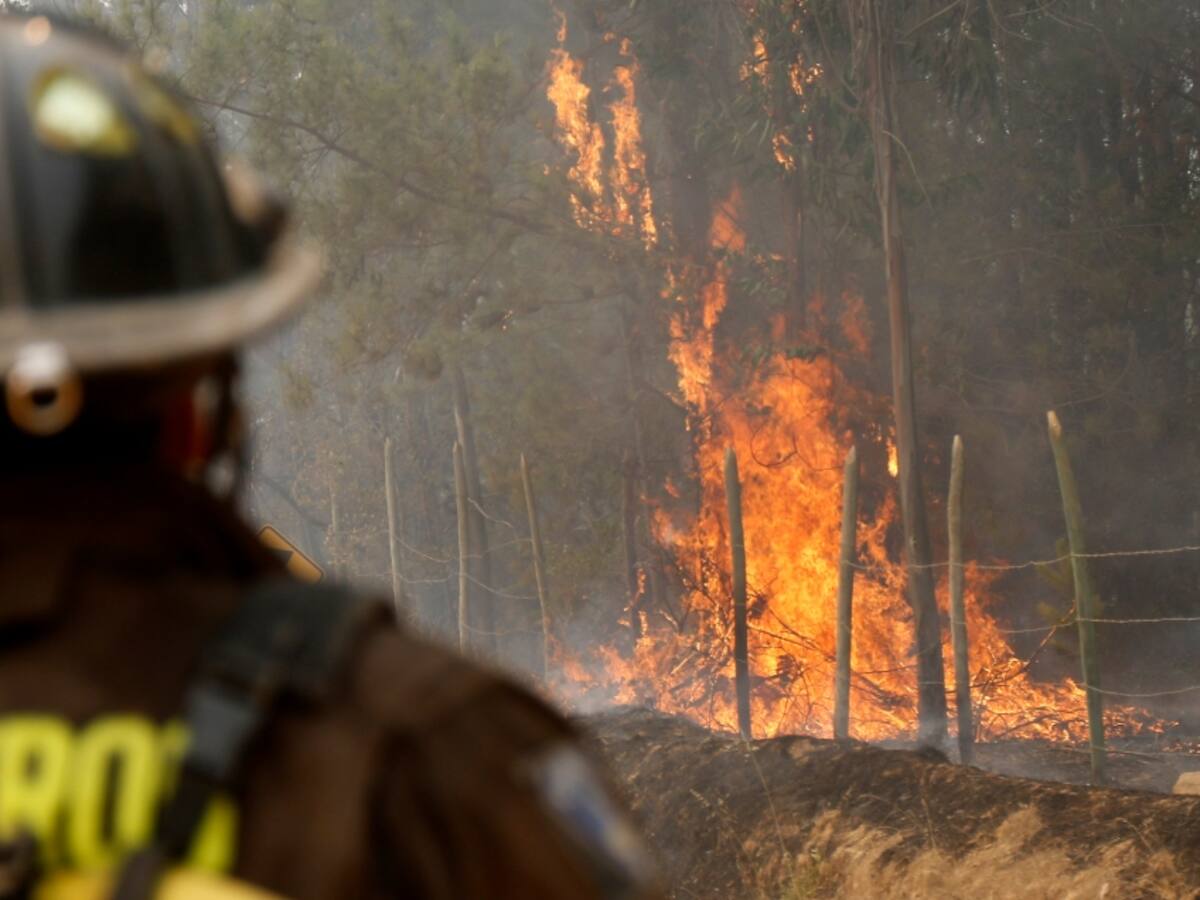 Carolina Tohá informó de cuatro personas fallecidas producto de los incendios forestales