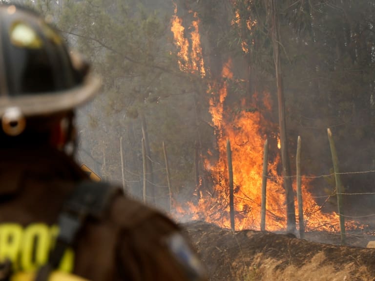 Carolina Tohá informó de cuatro personas fallecidas producto de los incendios forestales