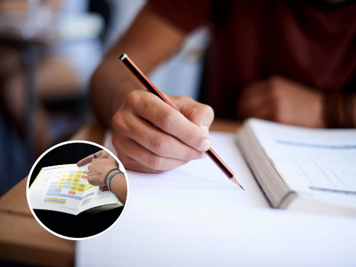 La primera ya no es ingeniería comercial: revelan ranking de las carreras con más titulados en Chile