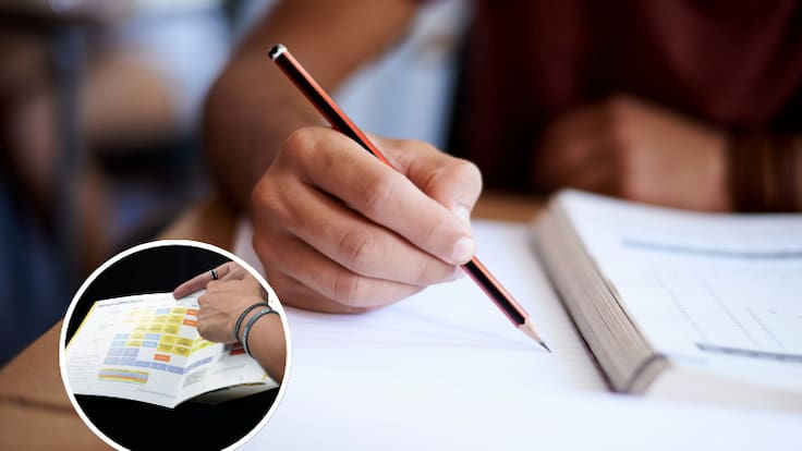 La primera ya no es ingeniería comercial: revelan ranking de las carreras con más titulados en Chile