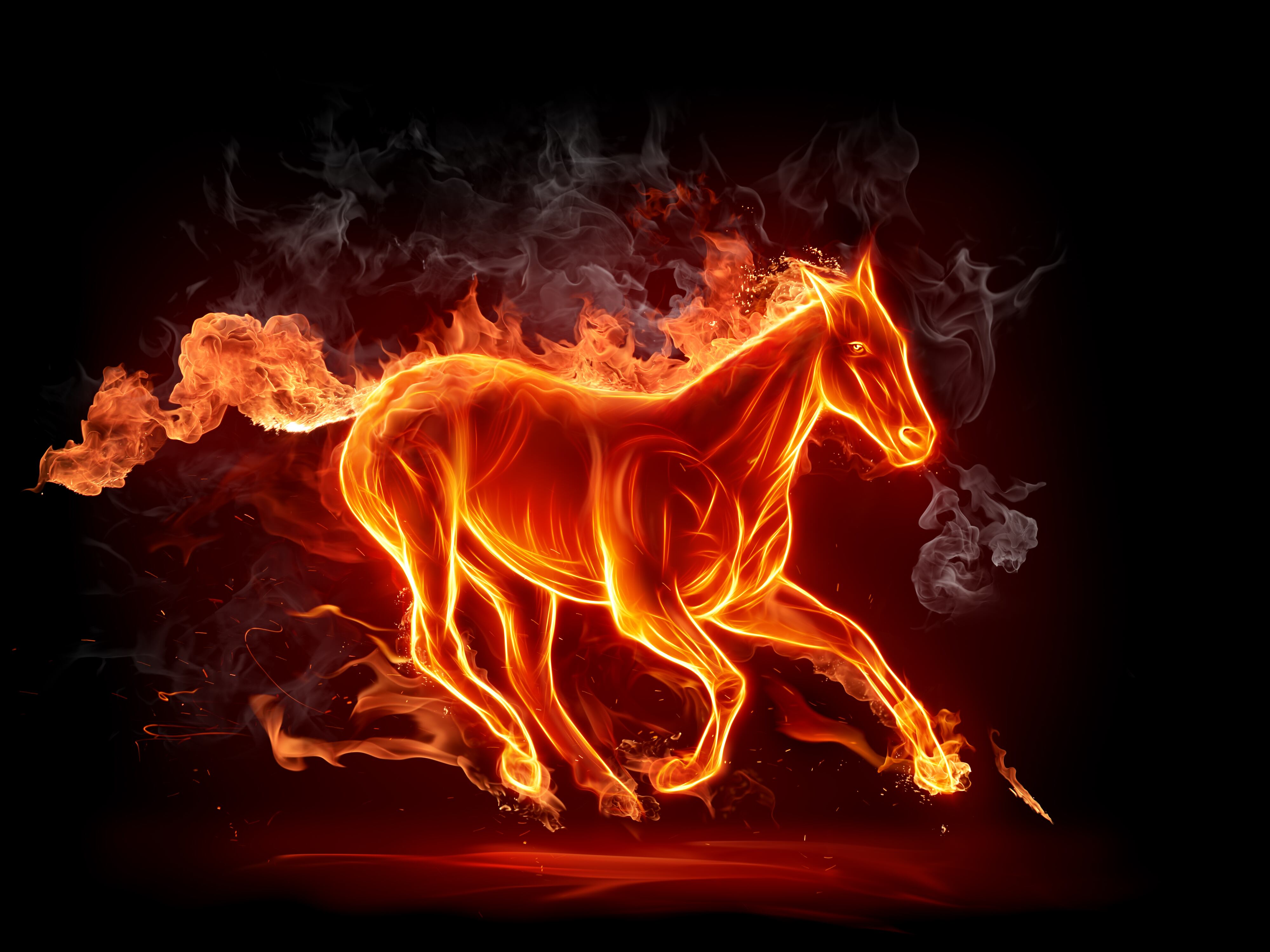 Horse galloping