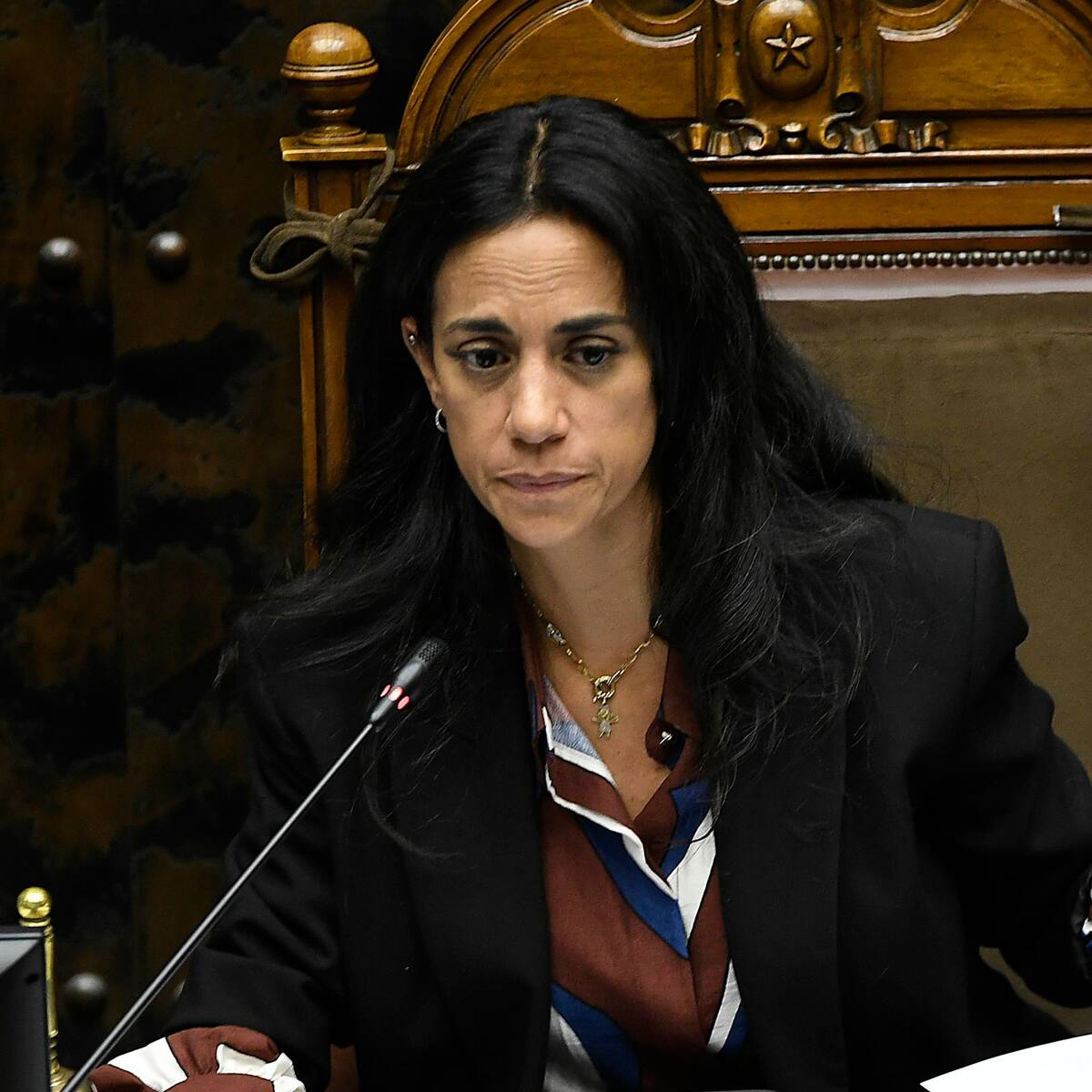 Agenda Fast Track Seguridad: Senado debate ley de ingreso clandestino y proyecto de Escuelas Protegidas