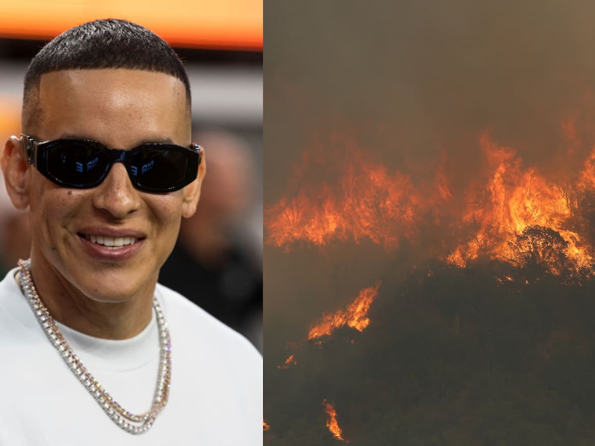 “Voy a estar ahí en lo que me necesiten”: El emotivo mensaje de Daddy Yankee tras incendios en Valparaíso