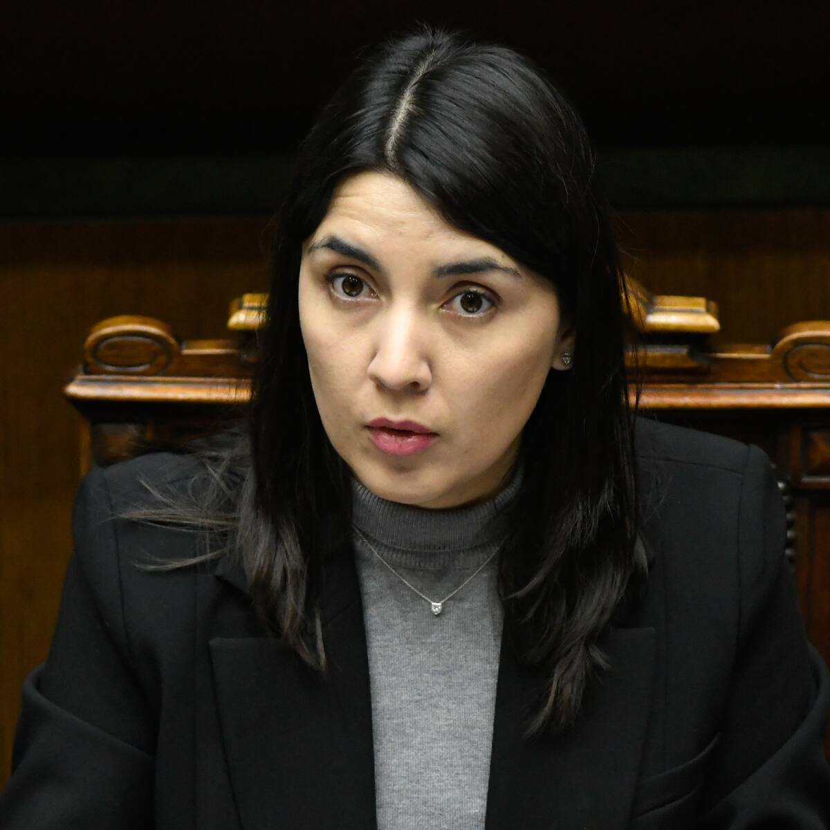 Entra en vigencia ley que impide que condenados por VIF o femicidio cobren la pensón de sobrevivecia de sus víctimas