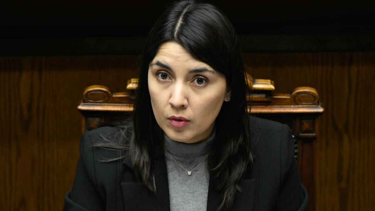 Entra en vigencia ley que impide que condenados por VIF o femicidio cobren la pensón de sobrevivecia de sus víctimas