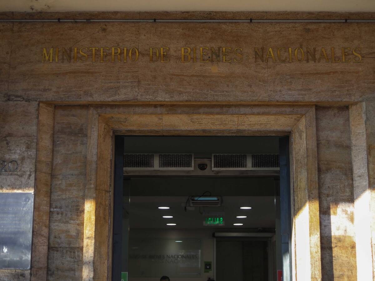 Ministerio de Bienes Nacionales denuncia ciberataque ante la PDI: su página web está caída