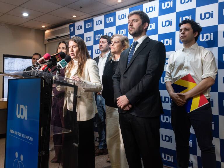 Bancada UDI