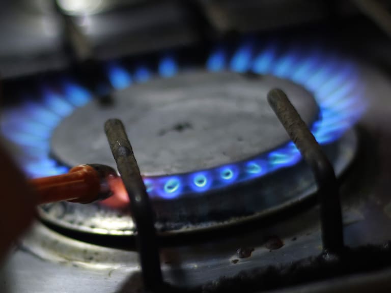 Comisión del gas llamó a la FNE a presentar requerimiento por colusión