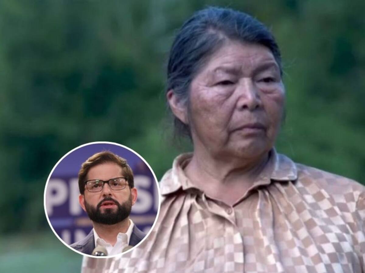 Presidente Boric por desaparición de Julia Chuñil: “No vamos a cejar hasta encontrarla”