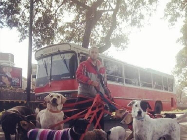 En Argentina un paseador de perros utiliza un autobús para recoger a los animales