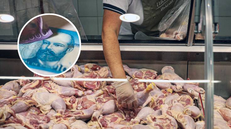 Colusión de pollos en Chile: este es el grupo de personas que recibirá la compensación de $13.722 en diciembre