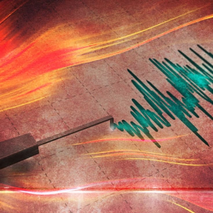 SHOA descarta riesgo de tsunami en Chile tras temblor 6,7 registrado en el Biobío
