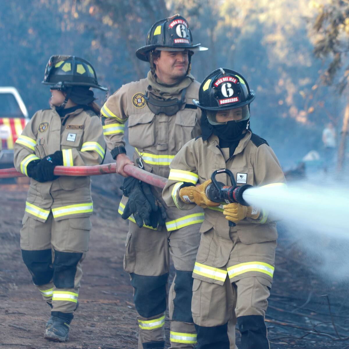 Sigue en combate: cancelan alerta roja en Puerto Montt por incendio forestal