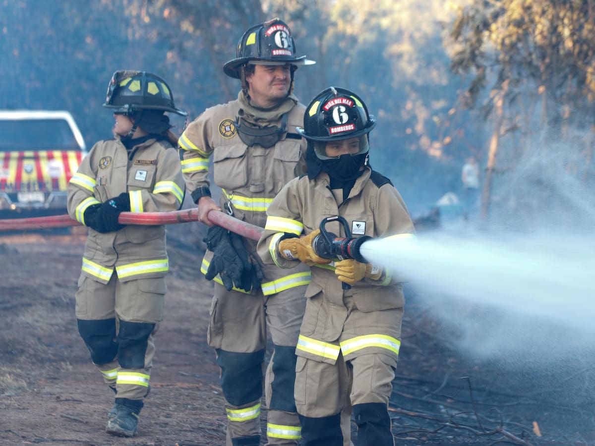 Emergencia por incendios forestales en Chile: 21 siniestros se mantiene en combate y hectáreas arrasadas superan las 9 mil