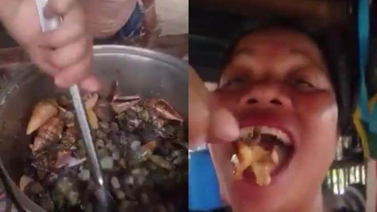 Era venenoso: influencer muere tras comerse un cangrejo y mostrarlo en un video