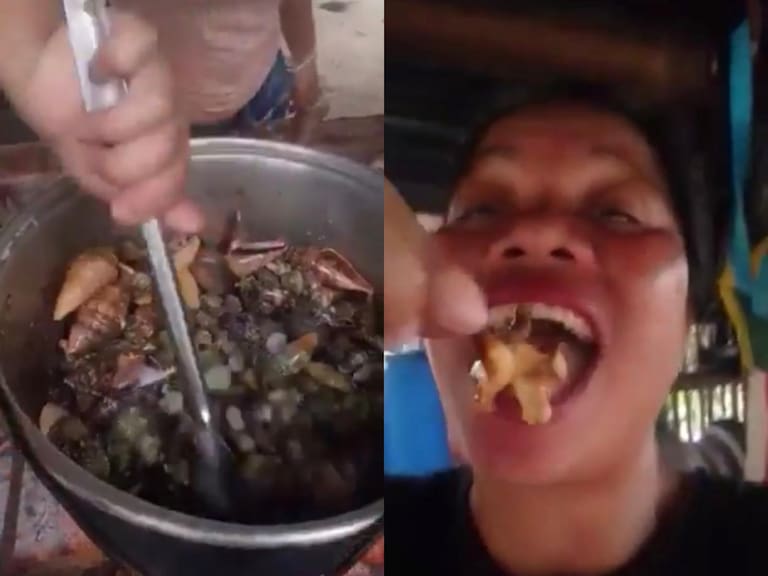 Era venenoso: influencer muere tras comerse un cangrejo y mostrarlo en un video