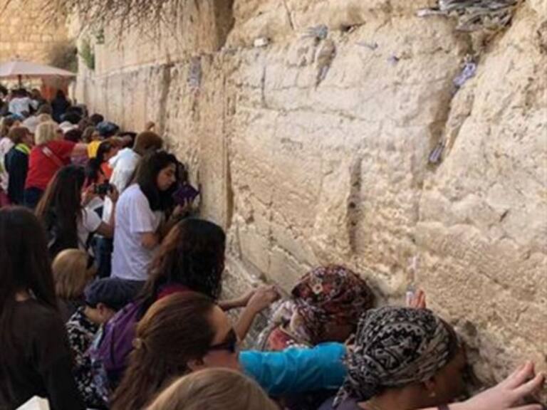 Serpiente emerge del Muro de los Lamentos provocando pánico y desesperación entre los fieles