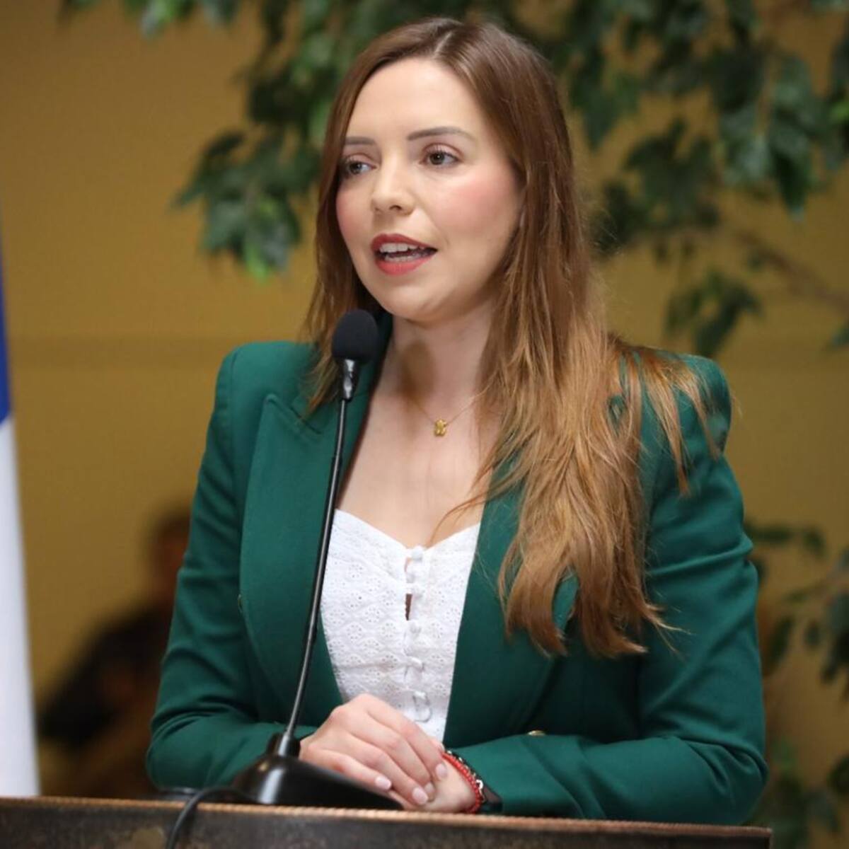 La “cuota Flores”: los detalles de la investigación a senadora Camila Flores por presunto fraude al fisco