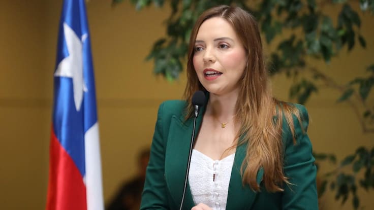 La “cuota Flores”: los detalles de la investigación a senadora Camila Flores por presunto fraude al fisco