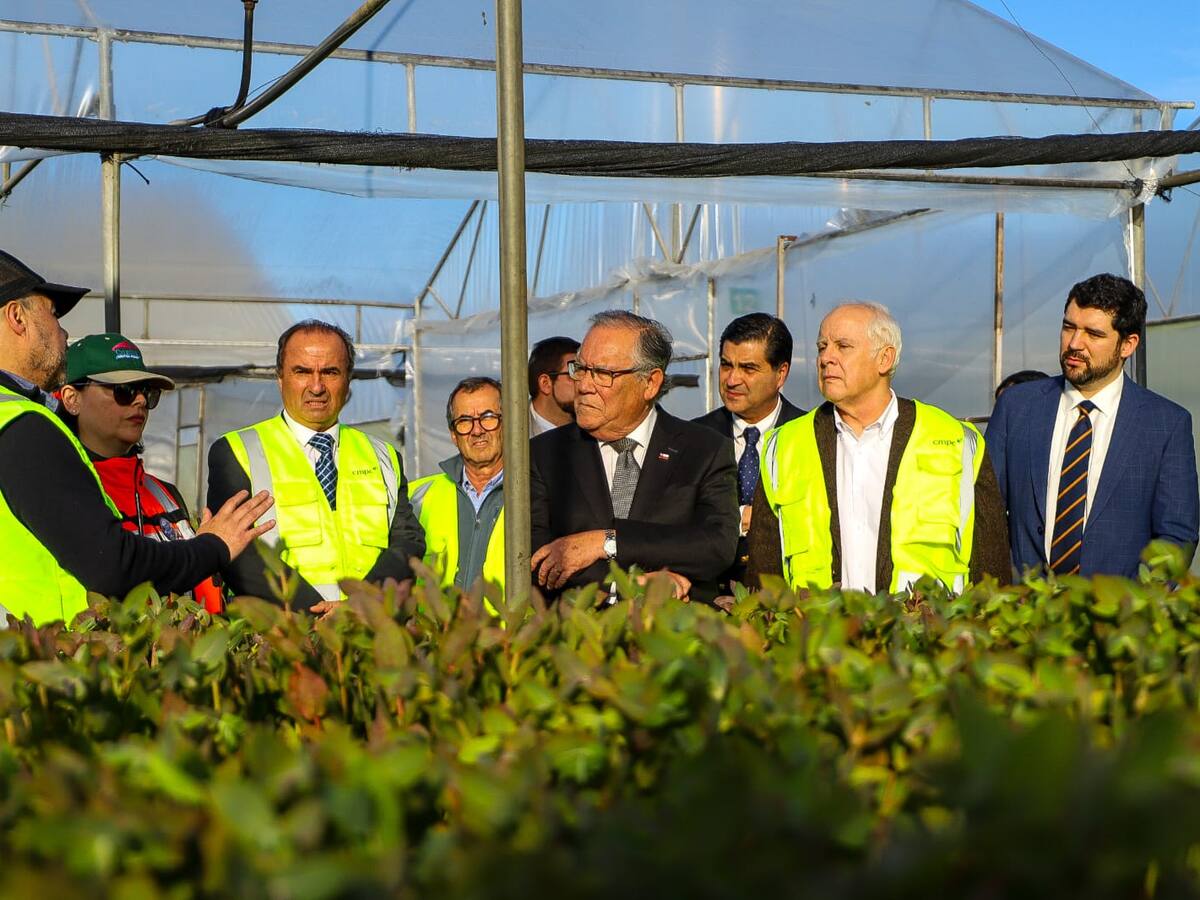 “Aquí está el corazón forestal de Chile”: Gobierno y gremios abordan seguridad e incendios en mesa de trabajo realizada en Biobío