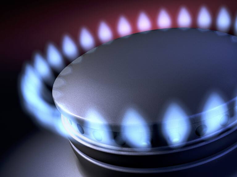 Abastible, Lipigas y Gasco respondieron a recomendación de la FNE de prohibir su participación en distribución domiciliaria