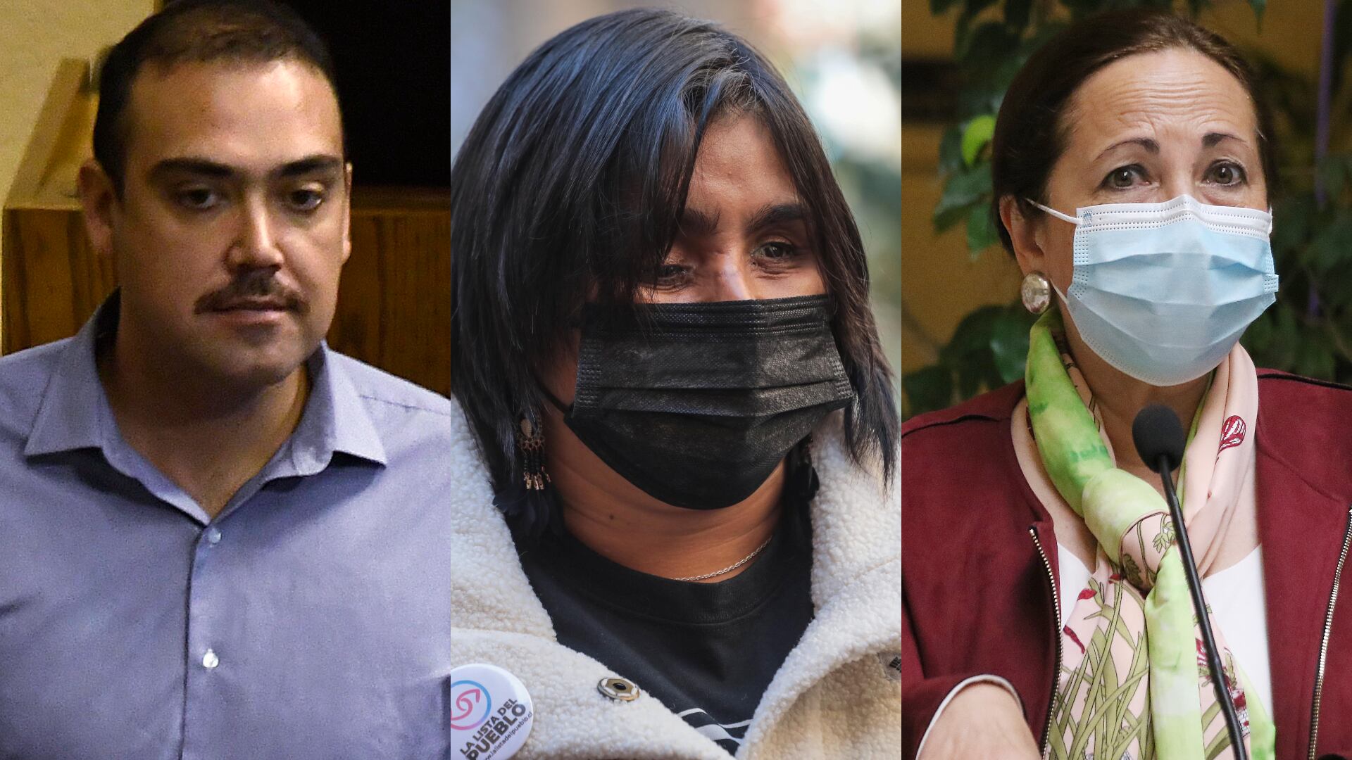 El Senado está listo: los ganadores de las Elecciones Parlamentarias 2021