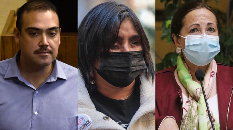 El Senado está listo: los ganadores de las Elecciones Parlamentarias 2021