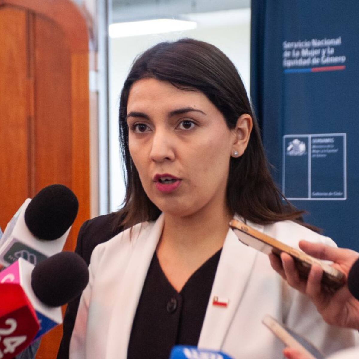 Gobierno anuncia primera querella de oficio por femicidio en Paine en el marco de la Ley Integral