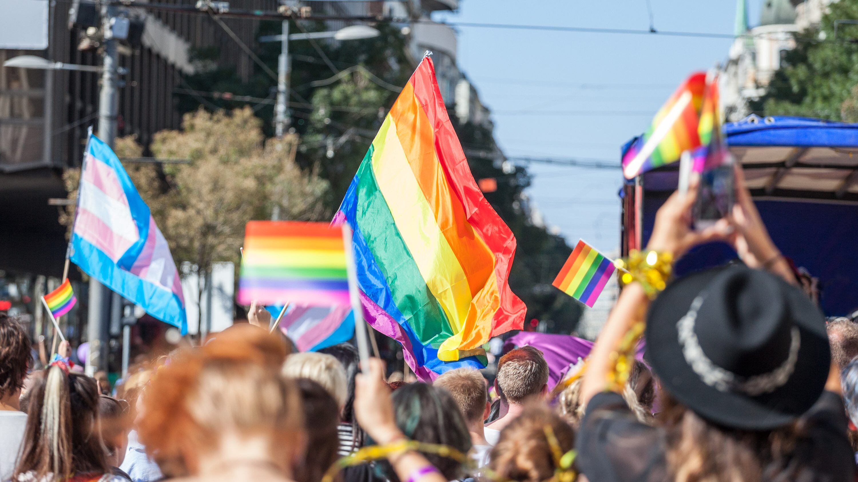 Picture of a crowd of people holding and raising rainbow flags, symbol of the homosexual struggle, during a gay demonstration. The rainbow flag, commonly known as the gay pride flag or LGBT pride flag, is a symbol of lesbian, gay, bisexual and transgender (LGBT) pride and LGBT social movements. Other older uses of rainbow flags include a symbol of peace.