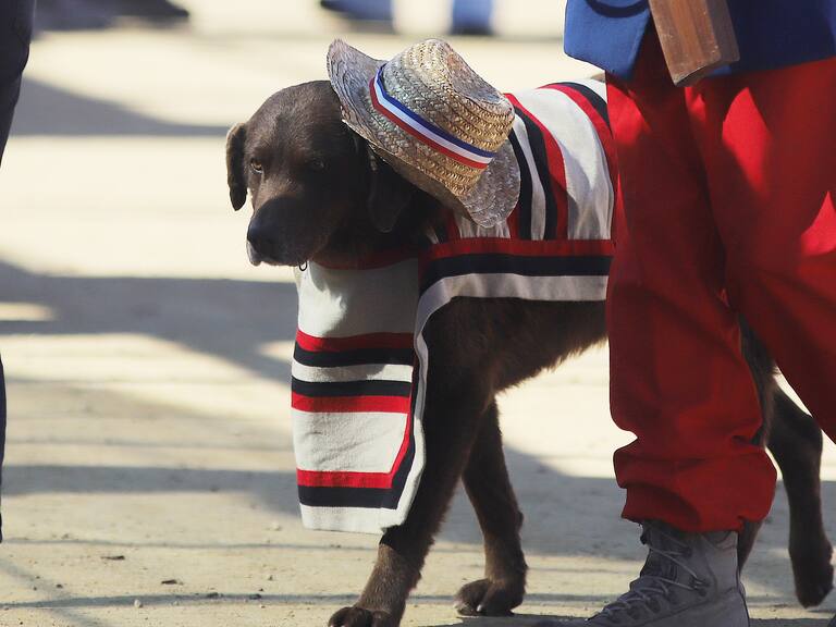 Este es el destino preferido de los chilenos para pasar las Fiestas Patrias 2024
