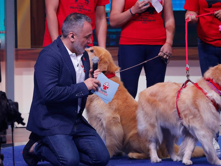 ¿Cómo será la Mascotatón, el evento animalista que ayudará a la Teletón 2025? Fecha y lugar