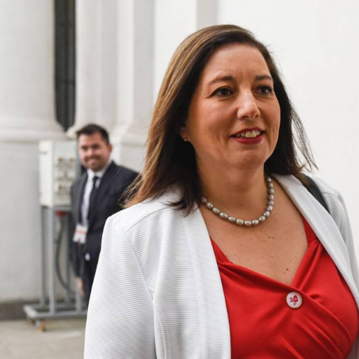PS se inclina por Paulina Vodanovic como reemplazante del ministro Elizalde en el Senado