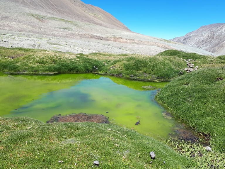 Anglo American compra el 100% de santuario de la naturaleza en la Región Metropolitana para su conservación