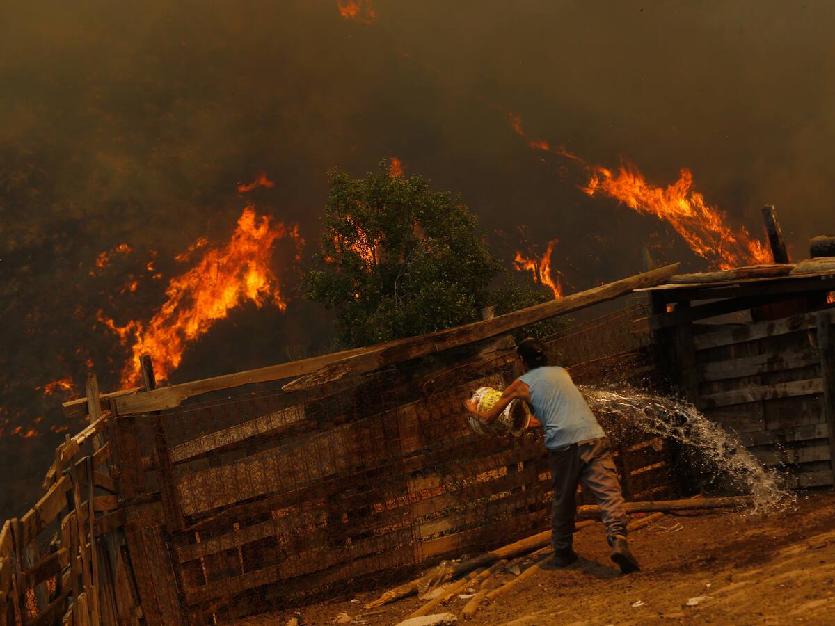 Incendios forestales en La Araucanía: Senapred confirma 13 viviendas destruidas y 21 damnificados