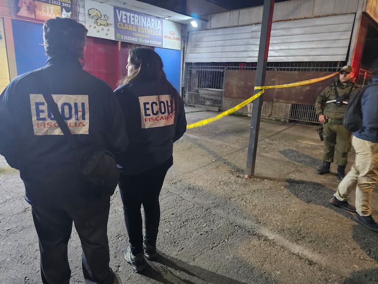 Homicio Lo Espejo
