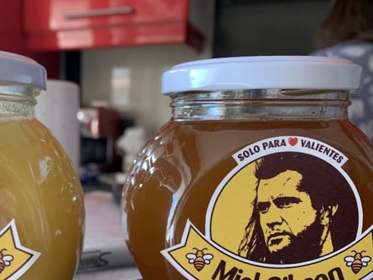 «Miel Gibson» podrá seguir utilizando su marca pero no la imagen del actor