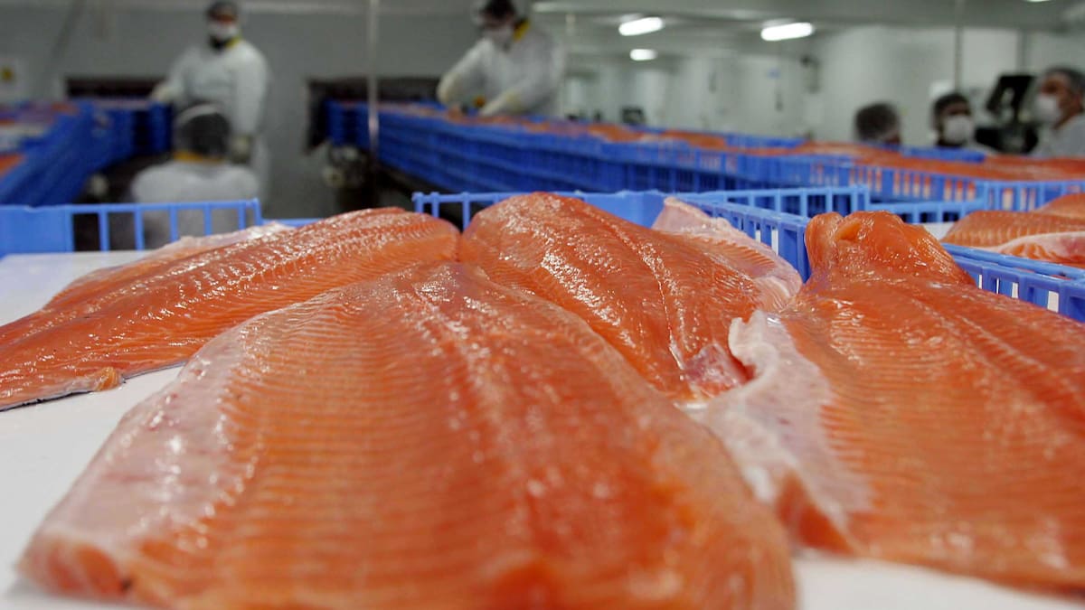 Alerta sanitaria por bacteria en salmón ahumado disponible en supermercados: Minsal ordena retiro inmediato del comercio