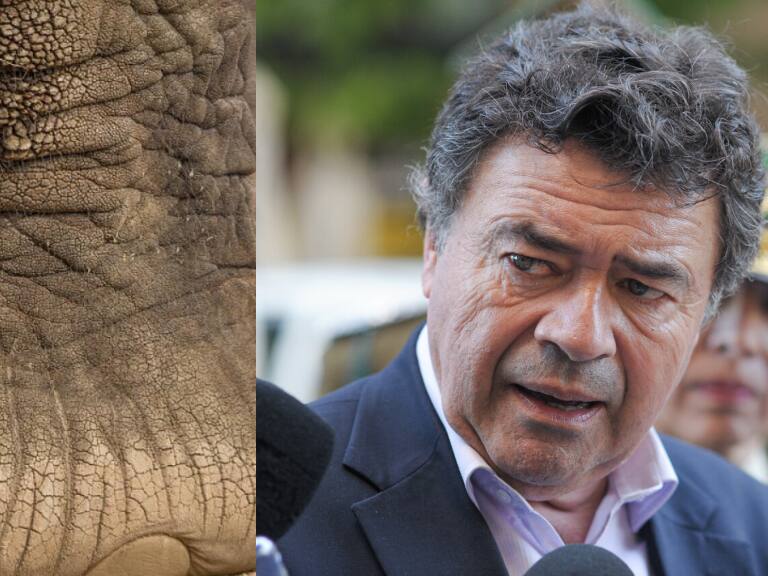 Imagen referencial Elefante - Ministro de Agricultura