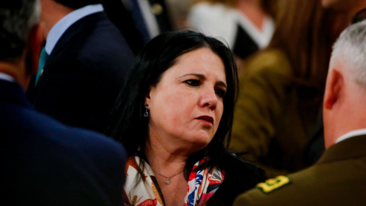 Oposición y dictamen de Contraloría contra Steinert: “Perfectamente se configura una causal de acusación constitucional”
