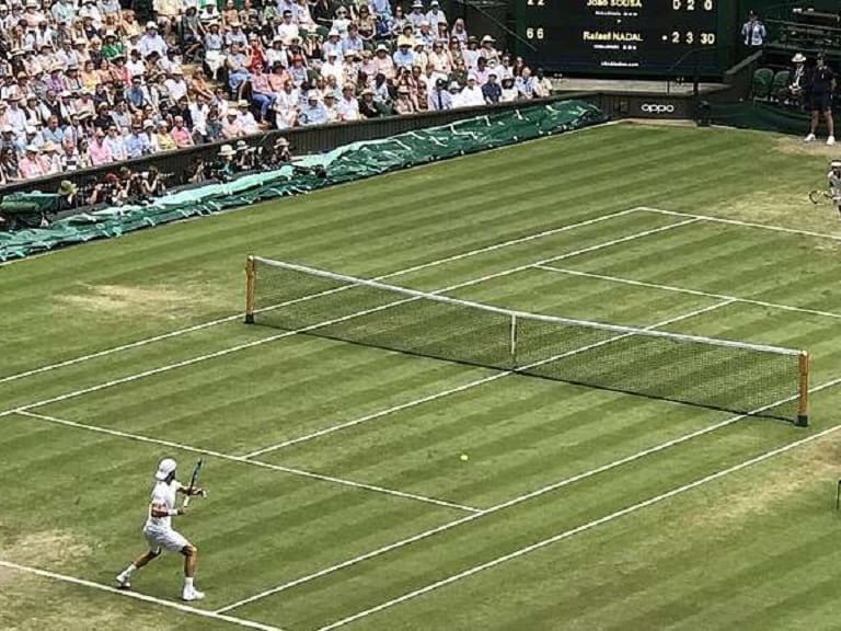 Wimbledon descartó jugar a puerta cerrada por coronavirus: estudia aplazamiento o cancelación