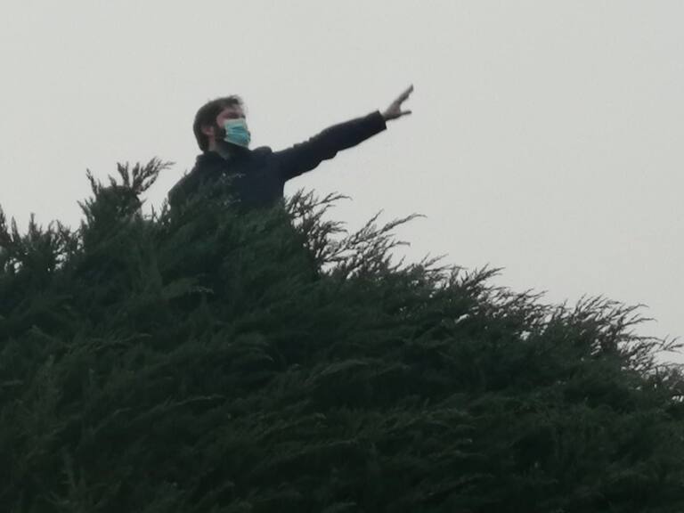 Gabriel Boric subió al árbol de su campaña: Aceptó reto de periodista que lo acompañó para treparlo
