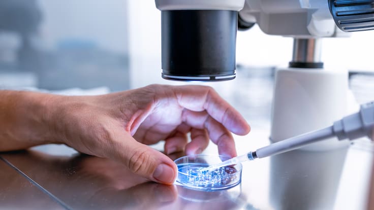“Es prometedor”: científicos logran modificar ADN de embriones humanos y reabren debate sobre bebés con rasgos seleccionados